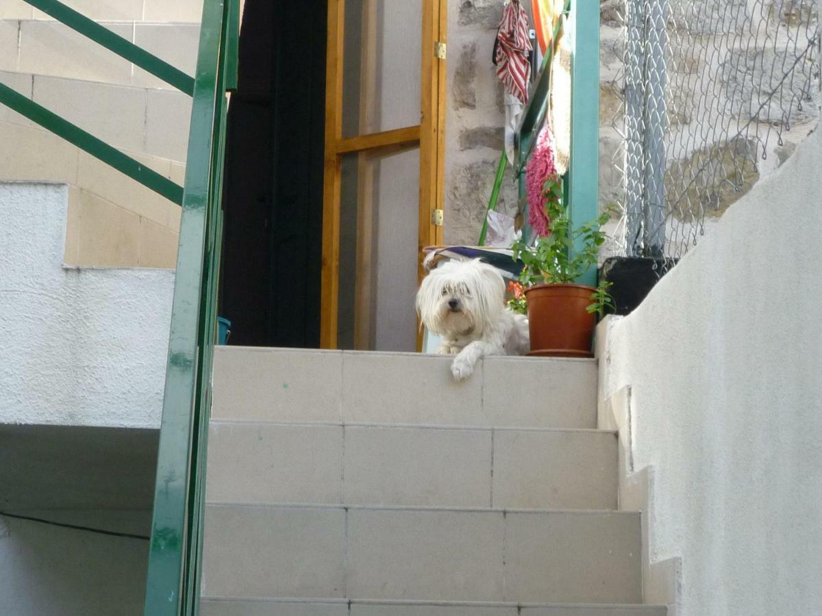 Cosy In The Center Of Pensionat